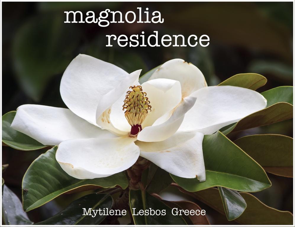 Magnolia Residence Mytilene Bagian luar foto